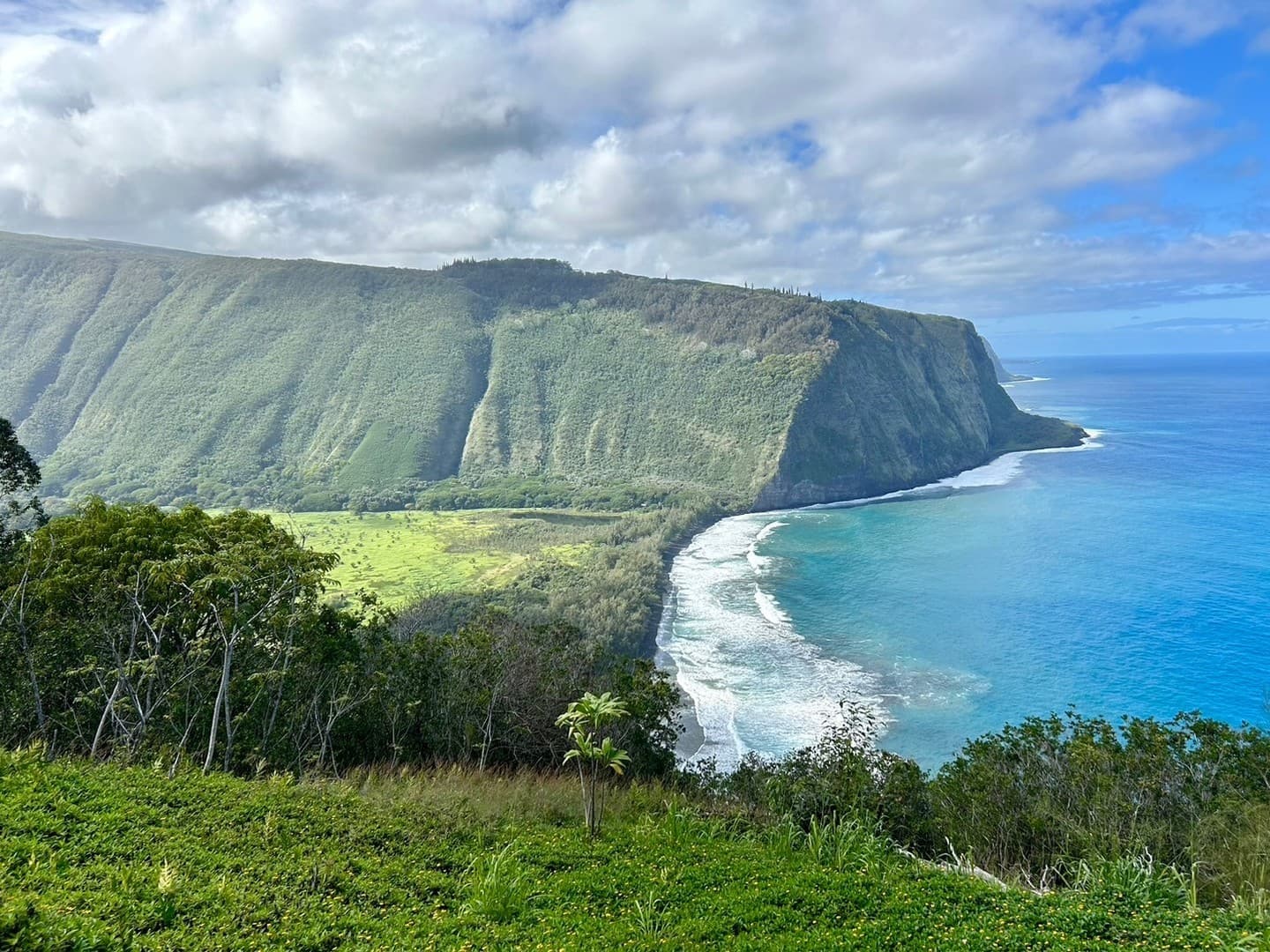 Waipio Valley Lookout